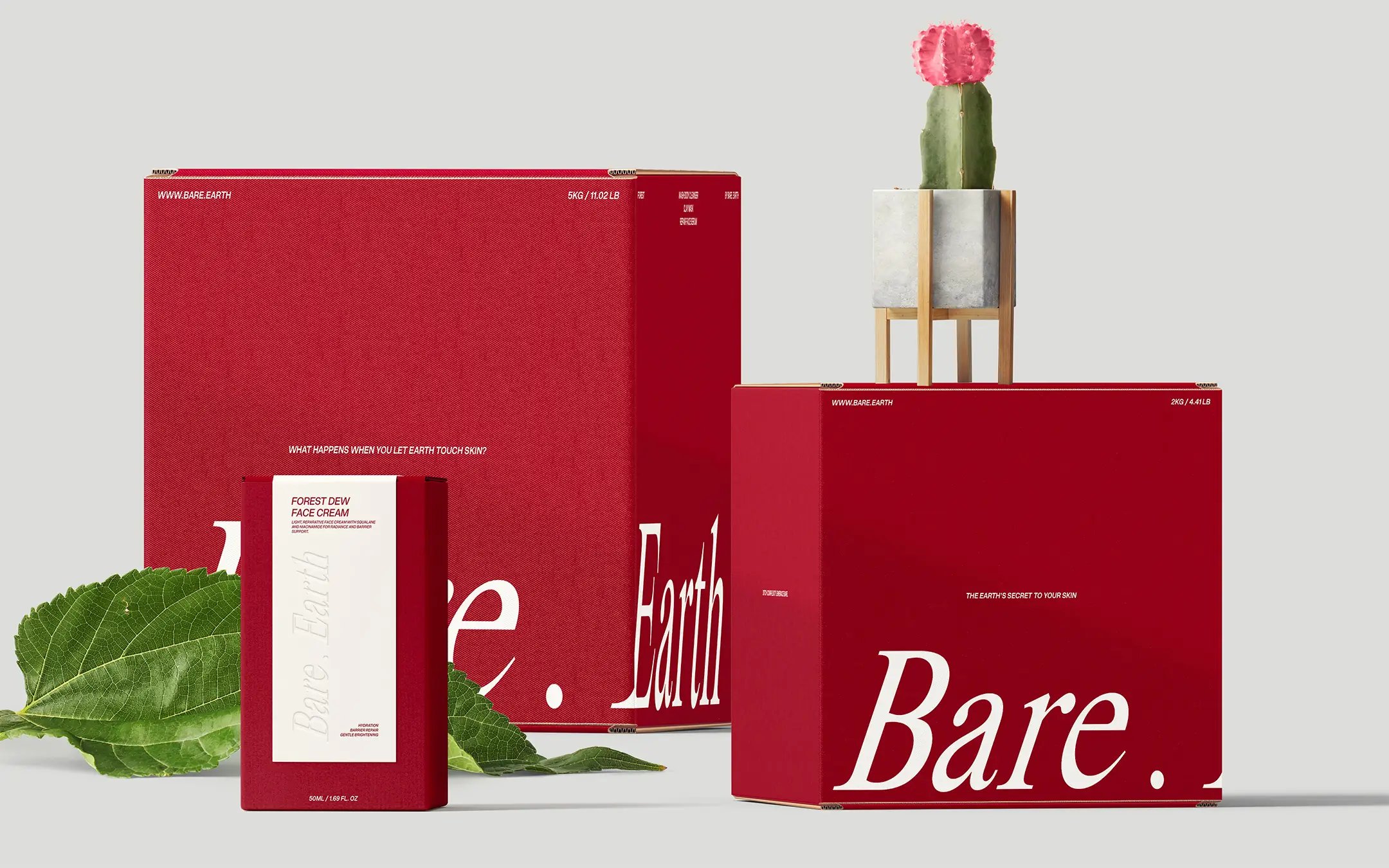 Bare . Earth Box Packaging