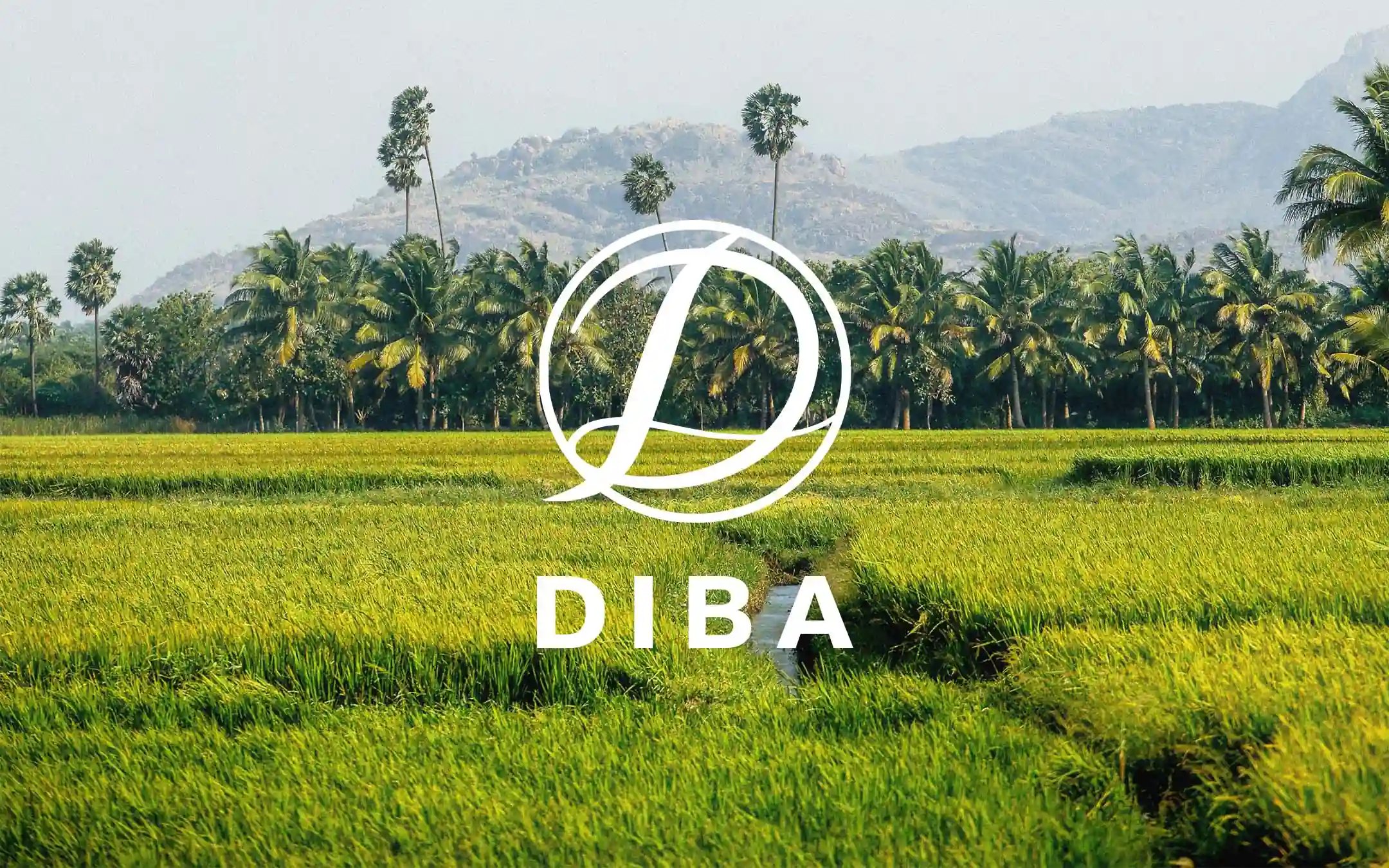 DIBA Foods Landscape Preview Image