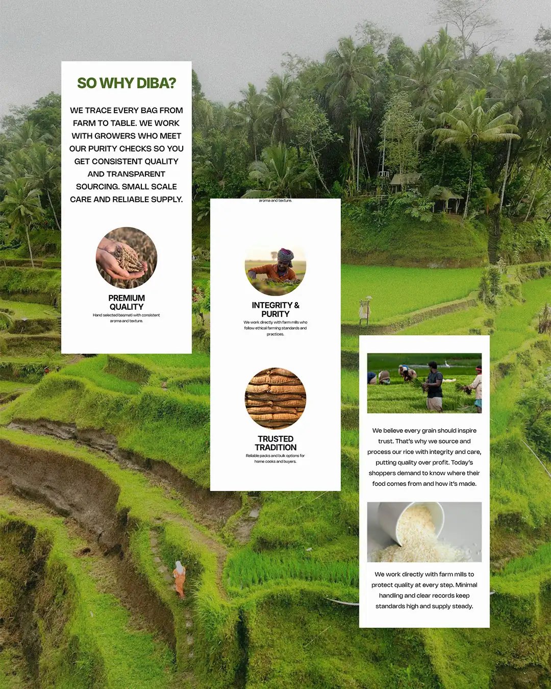 DIBA Foods Mobile Story Page