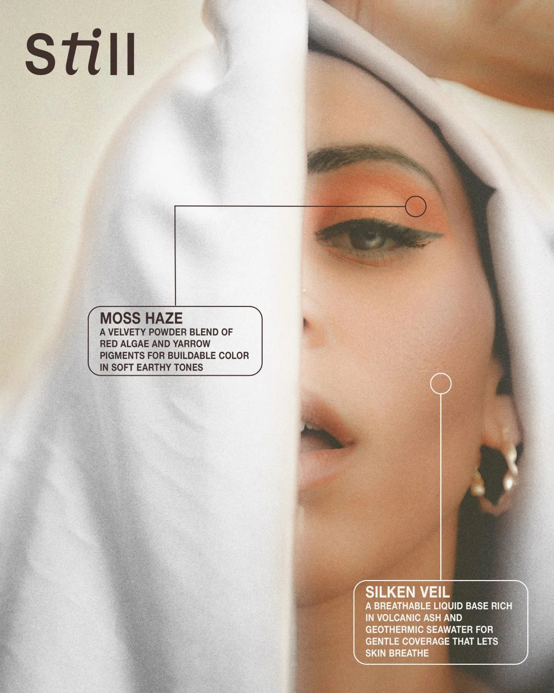 Still Foundation & Eye Shadow Information Poster